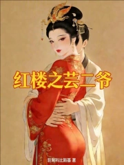 红楼之芸二爷