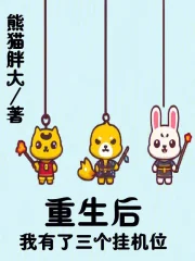 重生后我有了三个挂机位