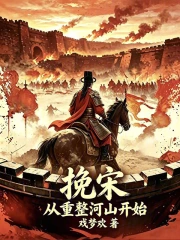 挽宋：从重整河山开始